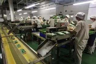 食品机械科技 驱动食品企业迈向新时代的强大引擎