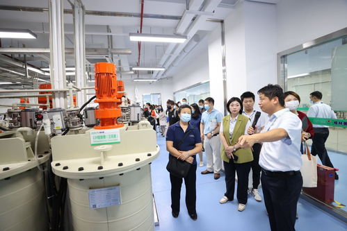 高质量发展调研行 | 企业观察 桃花源走出了格林美，打造世界领先的电子废弃物循环工厂